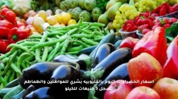 أسعار الخضراوات اليوم بالقليوبية بشرى للمواطنين والطماطم تسجل 5 جنيهات للكيلو